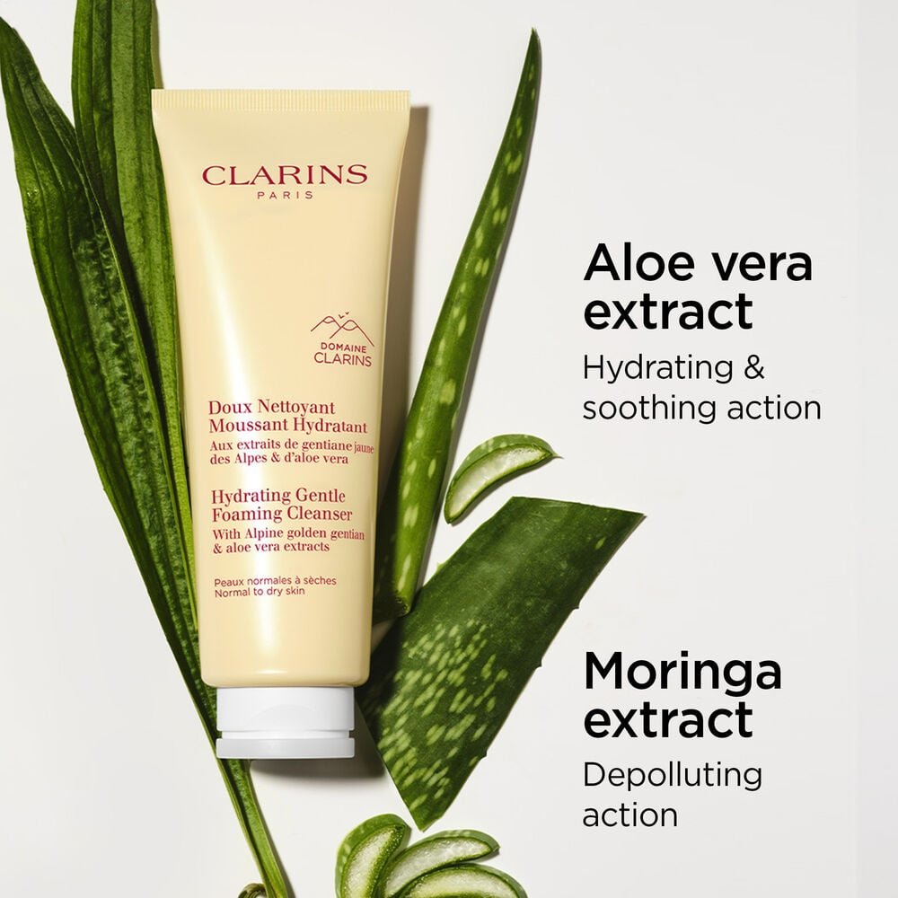 Clarins Gentle Foaming Cleanser